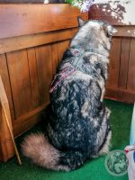 2IMG_20230928_094919-Kopie
