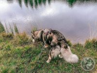 27IMG_20230923_124643-Kopie