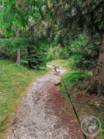 9IMG_20230923_121142-Kopie
