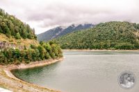 Watermark_14IMG_8674