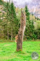 Watermark_30IMG_8659