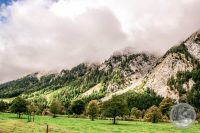Watermark_31IMG_8660