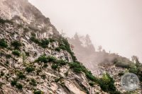 Watermark_35IMG_8664
