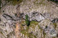 Watermark_36IMG_8665