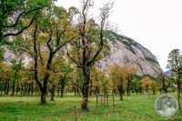 Watermark_37IMG_8666