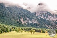 Watermark_41IMG_8670
