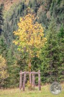 Watermark_43IMG_8672