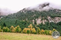 Watermark_5IMG_8655