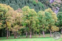 Watermark_8IMG_8657
