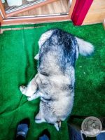 Watermark_6IMG_20250927_080051
