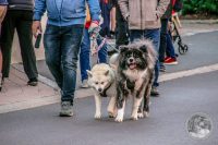 Watermark_27IMG_8701