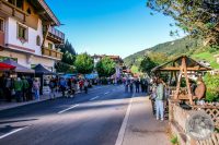 Watermark_28IMG_8702