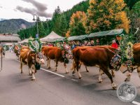 Watermark_321IMG_20250927_123012