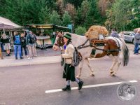 Watermark_436IMG_20250927_131655