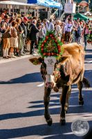 Watermark_48IMG_8722