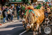 Watermark_79IMG_8753