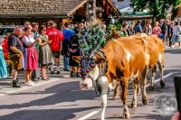 Watermark_97IMG_8771