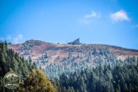 Watermark_127IMG_1317