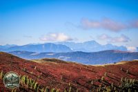 Watermark_53IMG_1257
