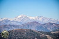 Watermark_59IMG_1263