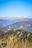 Watermark_65IMG_1267
