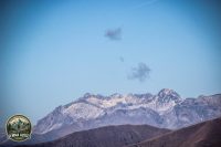 Watermark_66IMG_1268