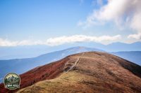 Watermark_69IMG_1271