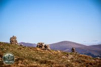 Watermark_75IMG_1275