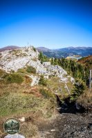 Watermark_90IMG_1292