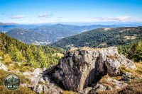 Watermark_92IMG_1294