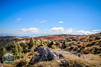 Watermark_93IMG_1295