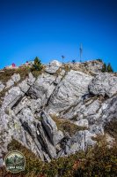 Watermark_96IMG_1300