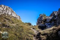 Watermark_99IMG_1301