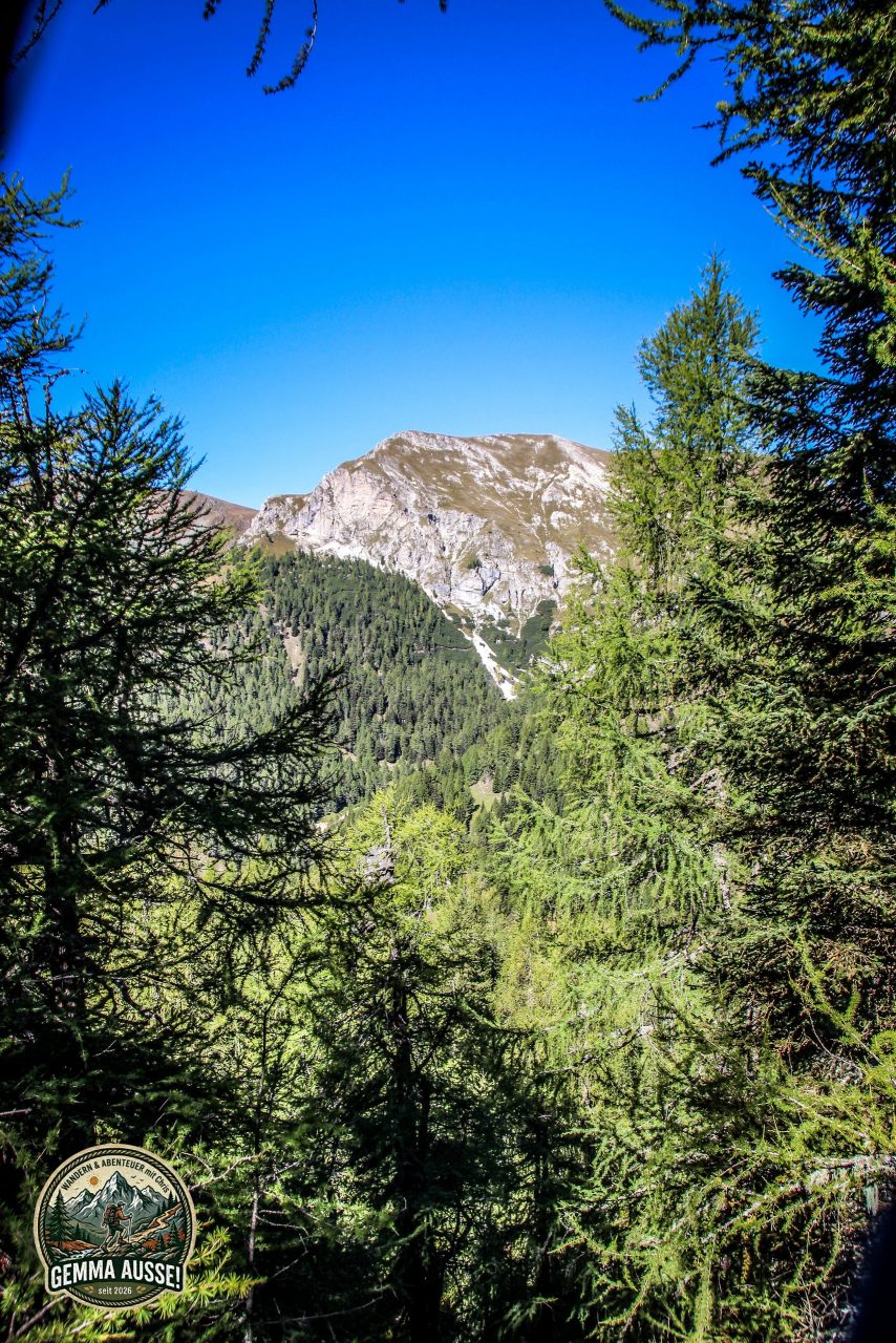 Watermark_180IMG_1358