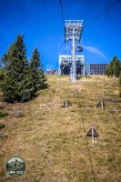 Watermark_146IMG_1329