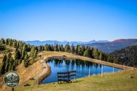 Watermark_159IMG_1337