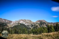 Watermark_165IMG_1343