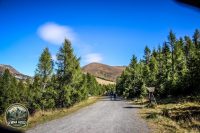 Watermark_167IMG_1345