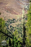 Watermark_173IMG_1351