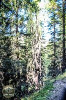 Watermark_178IMG_1356