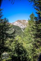 Watermark_180IMG_1358