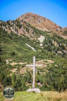 Watermark_182IMG_1361