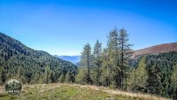 Watermark_184IMG_20260926_122440