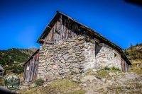 Watermark_192IMG_1366