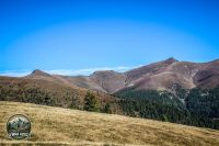 Watermark_203IMG_1372