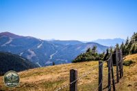 Watermark_204IMG_1373