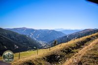 Watermark_207IMG_1377
