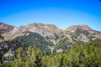Watermark_211IMG_1381
