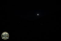 Watermark_231IMG_1394