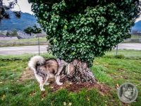 10IMG_20240929_070956-Kopie